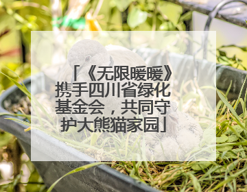 《无限暖暖》携手四川省绿化基金会，共同守护大熊猫家园