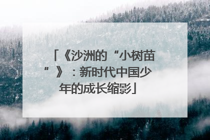 《沙洲的“小树苗”》：新时代中国少年的成长缩影