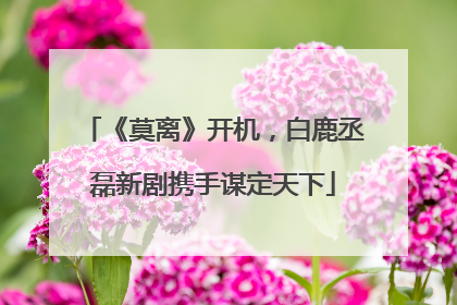 《莫离》开机，白鹿丞磊新剧携手谋定天下