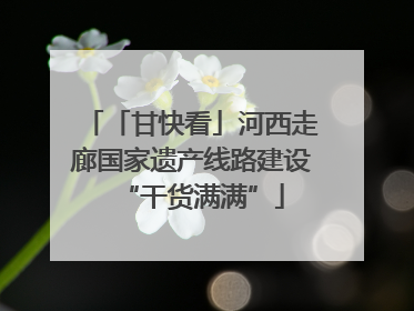 「甘快看」河西走廊国家遗产线路建设“干货满满”