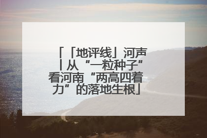 「地评线」河声丨从“一粒种子”看河南“两高四着力”的落地生根