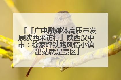 「广电融媒体高质量发展陕西采访行」陕西汉中市：徐家坪铁路风情小镇 出站就是景区