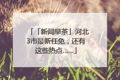 「新闻早茶」河北3市最新任免，还有这些热点……