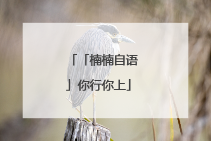 「楠楠自语」你行你上
