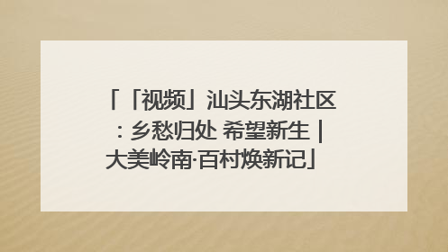 「视频」汕头东湖社区：乡愁归处 希望新生｜大美岭南·百村焕新记