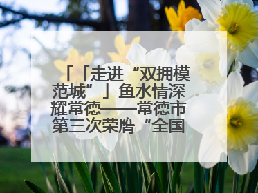 「走进“双拥模范城”」鱼水情深耀常德——常德市第三次荣膺“全国双拥模范城”