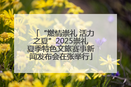 “燃情崇礼 活力之夏”2025崇礼夏季特色文旅赛事新闻发布会在张举行