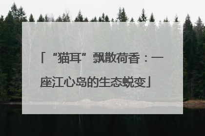 “猫耳”飘散荷香：一座江心岛的生态蜕变