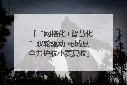 “网格化+智慧化”双轮驱动 柘城县全力护航小麦夏收