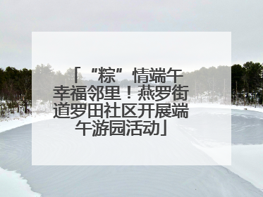 “粽”情端午 幸福邻里！燕罗街道罗田社区开展端午游园活动
