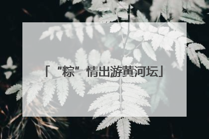 “粽”情出游黄河坛