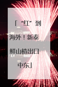 “红”到海外！新泰鲜山楂出口中东