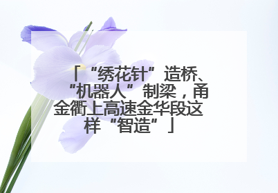 “绣花针”造桥、“机器人”制梁，甬金衢上高速金华段这样“智造”