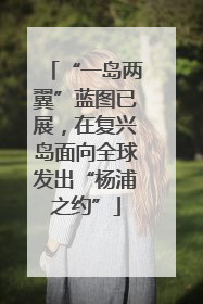 “一岛两翼”蓝图已展，在复兴岛面向全球发出“杨浦之约”