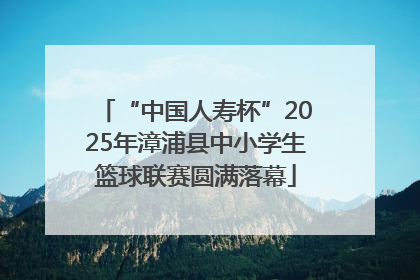 “中国人寿杯”2025年漳浦县中小学生篮球联赛圆满落幕