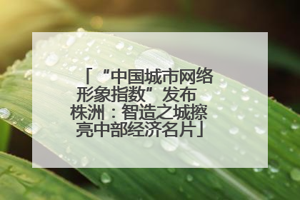 “中国城市网络形象指数”发布 株洲：智造之城擦亮中部经济名片