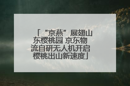 “京燕”展翅山东樱桃园 京东物流自研无人机开启樱桃出山新速度