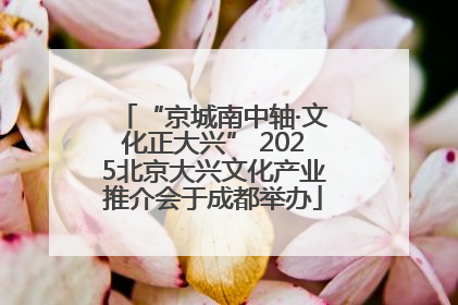 “京城南中轴·文化正大兴” 2025北京大兴文化产业推介会于成都举办