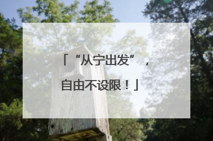 “从宁出发”，自由不设限！