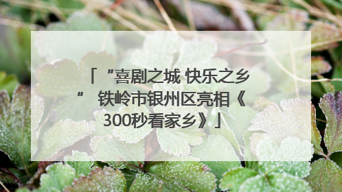 “喜剧之城 快乐之乡” 铁岭市银州区亮相《300秒看家乡》