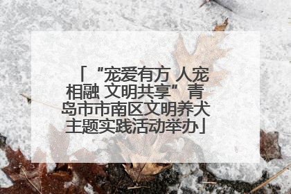 “宠爱有方 人宠相融 文明共享”青岛市市南区文明养犬主题实践活动举办