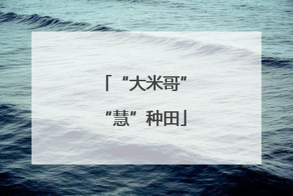 “大米哥”“慧”种田