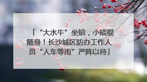 “大水牛”坐镇，小撬棍随身！长沙城区防办工作人员“人车等雨”严阵以待