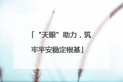 “天眼”助力，筑牢平安稳定根基