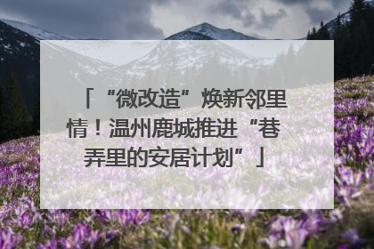 “微改造”焕新邻里情！温州鹿城推进“巷弄里的安居计划”