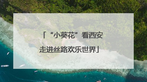 “小葵花”看西安走进丝路欢乐世界
