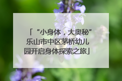 “小身体，大奥秘” 乐山市中区茅桥幼儿园开启身体探索之旅