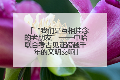 “我们是互相挂念的老朋友”——中哈联合考古见证跨越千年的文明交响
