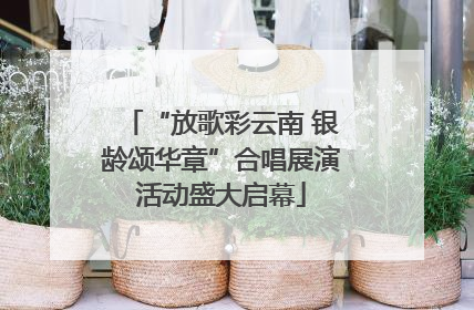 “放歌彩云南 银龄颂华章”合唱展演活动盛大启幕