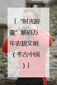 “时光胶囊”解码万年农耕文明（考古中国）