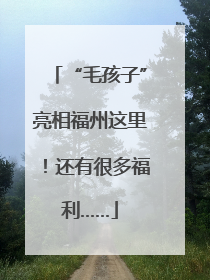 “毛孩子”亮相福州这里！还有很多福利……