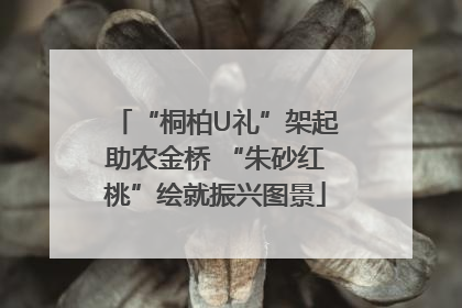 “桐柏U礼”架起助农金桥 “朱砂红桃”绘就振兴图景
