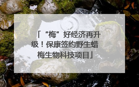 “梅”好经济再升级！保康签约野生蜡梅生物科技项目