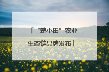 “楚小田”农业生态链品牌发布