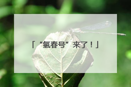 “氢春号”来了！