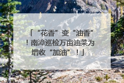 “花香”变“油香”！南漳巡检万亩油菜为增收“加油”！