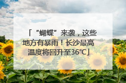 “蝴蝶”来袭，这些地方有暴雨！长沙最高温度将回升至36℃