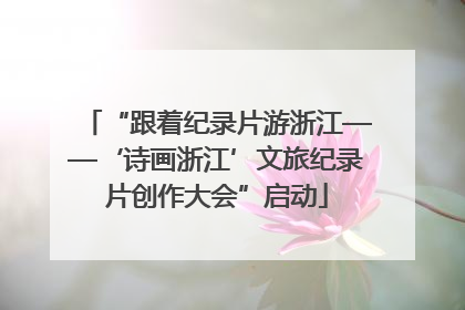 “跟着纪录片游浙江——‘诗画浙江’文旅纪录片创作大会”启动