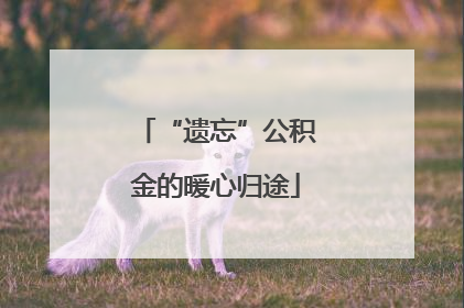 “遗忘”公积金的暖心归途