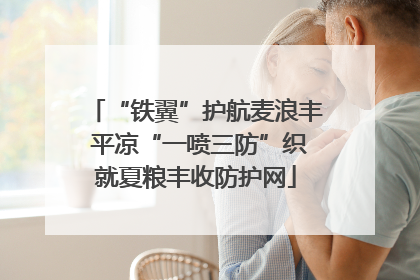 “铁翼”护航麦浪丰 平凉“一喷三防”织就夏粮丰收防护网