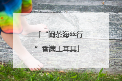 “闽茶海丝行”香满土耳其