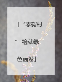 “零碳村” 绘就绿色画卷