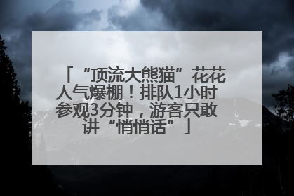 “顶流大熊猫”花花人气爆棚！排队1小时参观3分钟，游客只敢讲“悄悄话”