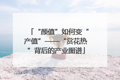 “颜值”如何变“产值”——“赏花热”背后的产业图谱