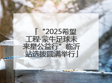 “2025希望工程·蒙牛足球未来星公益行”临沂站选拔圆满举行