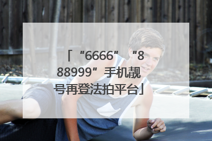 “6666”“888999”手机靓号再登法拍平台
